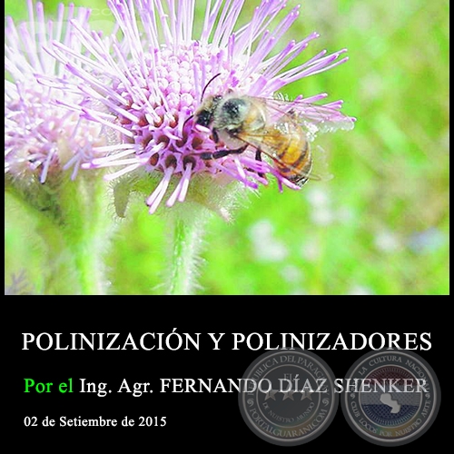 POLINIZACIÓN Y POLINIZADORES - Ing. Agr. FERNANDO DÍAZ SHENKER - 02 de Setiembre de 2015